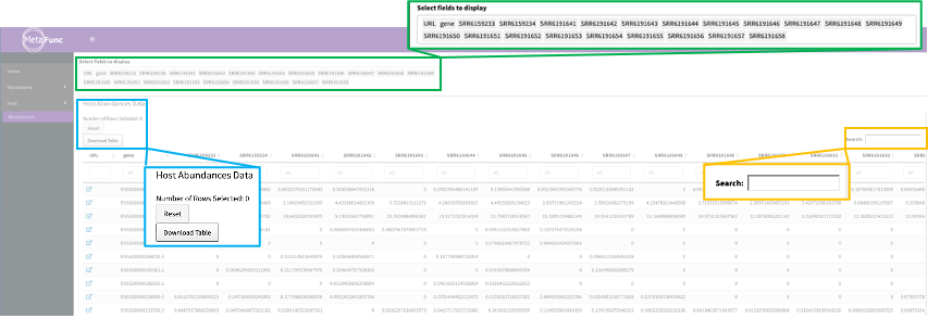 _images/RShiny_HostSample.png
