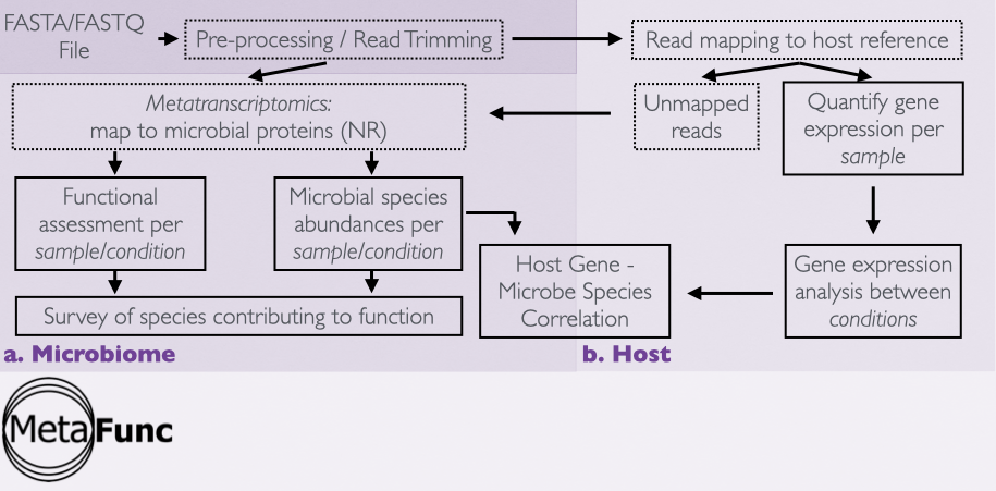 _images/metafunc_workflow.png